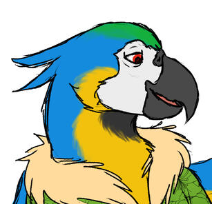 Bust